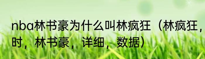nba林书豪为什么叫林疯狂（林疯狂，时，林书豪，详细，数据）