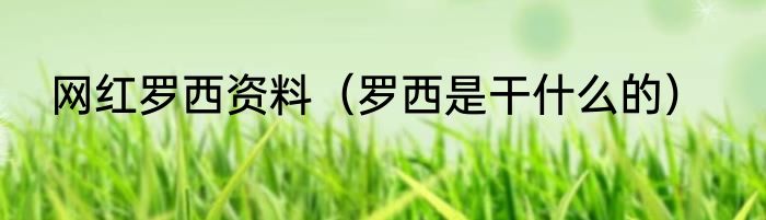 网红罗西资料（罗西是干什么的）