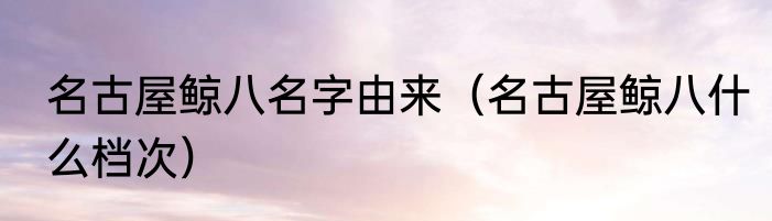 名古屋鲸八名字由来（名古屋鲸八什么档次）