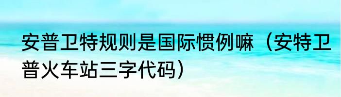 安普卫特规则是国际惯例嘛（安特卫普火车站三字代码）