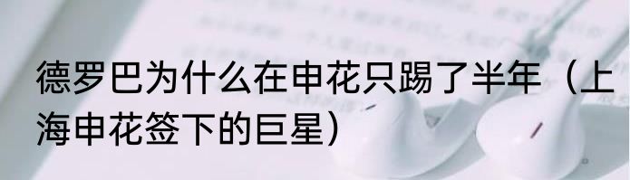 德罗巴为什么在申花只踢了半年（上海申花签下的巨星）