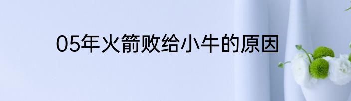 05年火箭败给小牛的原因