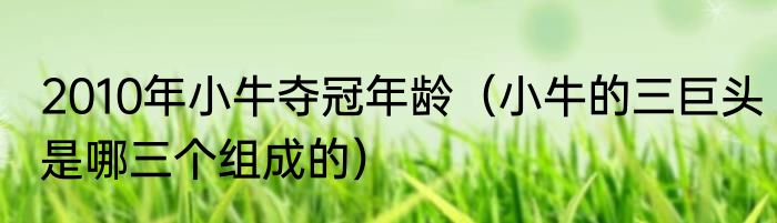 2010年小牛夺冠年龄（小牛的三巨头是哪三个组成的）