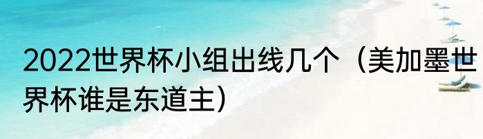 2022世界杯小组出线几个（美加墨世界杯谁是东道主）