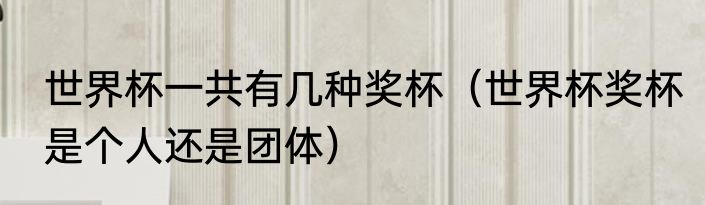 世界杯一共有几种奖杯（世界杯奖杯是个人还是团体）