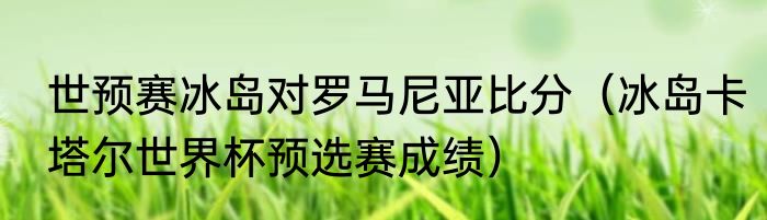 世预赛冰岛对罗马尼亚比分（冰岛卡塔尔世界杯预选赛成绩）