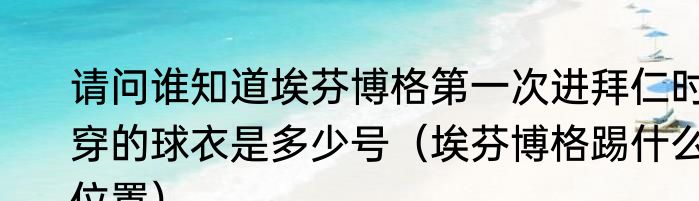 请问谁知道埃芬博格第一次进拜仁时穿的球衣是多少号（埃芬博格踢什么位置）