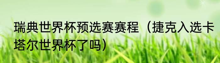 瑞典世界杯预选赛赛程（捷克入选卡塔尔世界杯了吗）