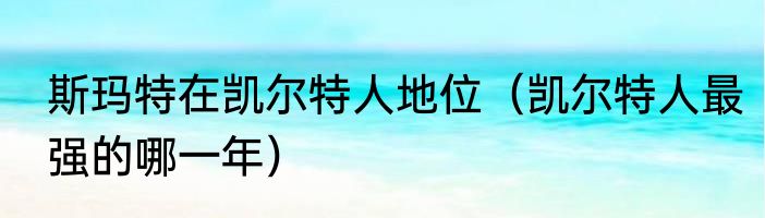 斯玛特在凯尔特人地位（凯尔特人最强的哪一年）