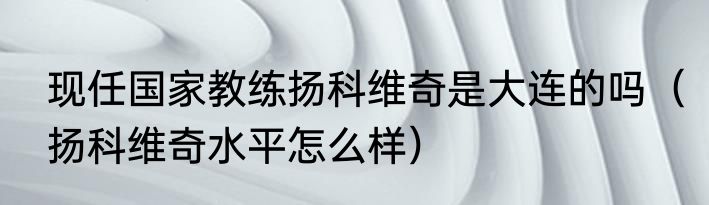 现任国家教练扬科维奇是大连的吗（扬科维奇水平怎么样）