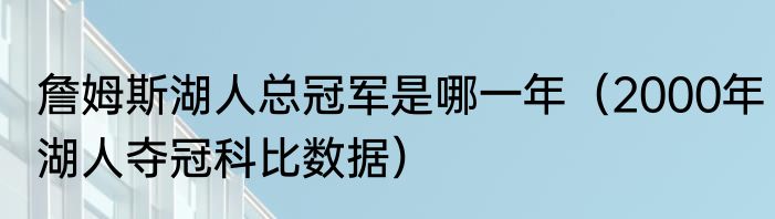 詹姆斯湖人总冠军是哪一年（2000年湖人夺冠科比数据）