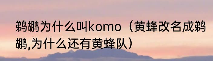 鹈鹕为什么叫komo（黄蜂改名成鹈鹕,为什么还有黄蜂队）