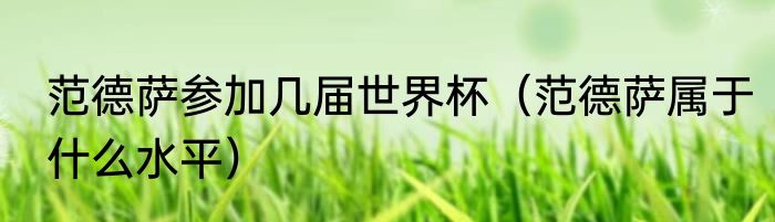 范德萨参加几届世界杯（范德萨属于什么水平）