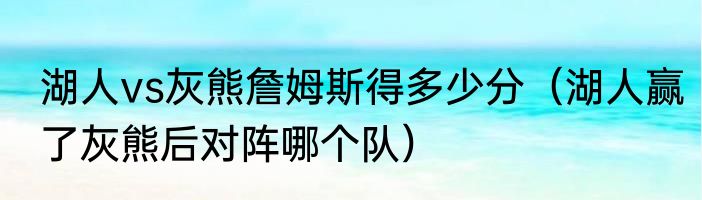 湖人vs灰熊詹姆斯得多少分（湖人赢了灰熊后对阵哪个队）