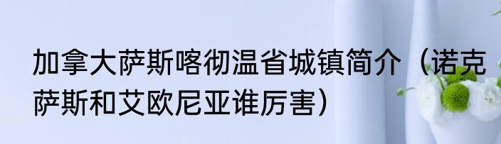 加拿大萨斯喀彻温省城镇简介（诺克萨斯和艾欧尼亚谁厉害）