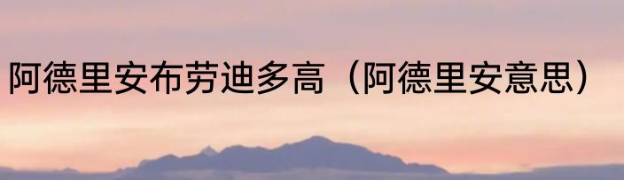 阿德里安布劳迪多高（阿德里安意思）