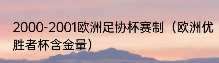 2000-2001欧洲足协杯赛制（欧洲优胜者杯含金量）