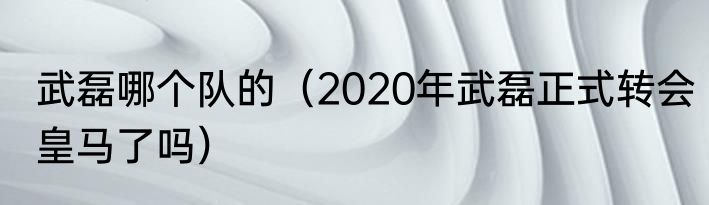 武磊哪个队的（2020年武磊正式转会皇马了吗）