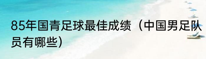 85年国青足球最佳成绩（中国男足队员有哪些）