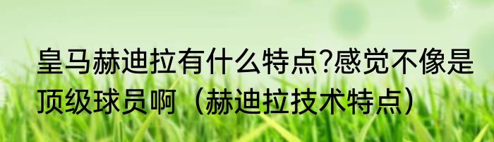 皇马赫迪拉有什么特点?感觉不像是顶级球员啊（赫迪拉技术特点）
