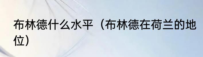 布林德什么水平（布林德在荷兰的地位）
