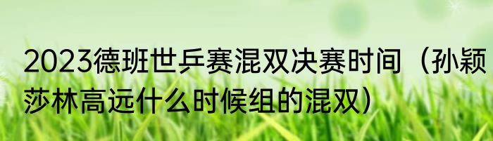 2023德班世乒赛混双决赛时间（孙颖莎林高远什么时候组的混双）