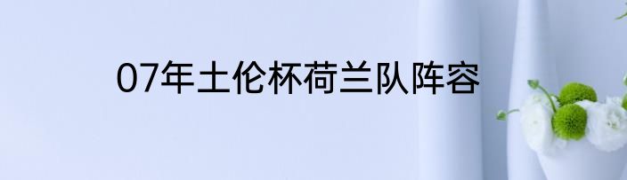 07年土伦杯荷兰队阵容
