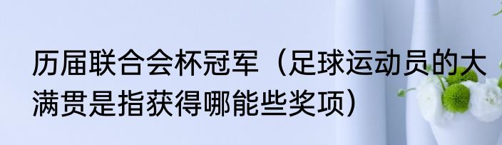 历届联合会杯冠军（足球运动员的大满贯是指获得哪能些奖项）
