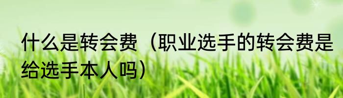 什么是转会费（职业选手的转会费是给选手本人吗）