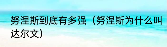 努涅斯到底有多强（努涅斯为什么叫达尔文）