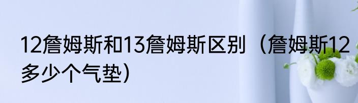 12詹姆斯和13詹姆斯区别（詹姆斯12多少个气垫）