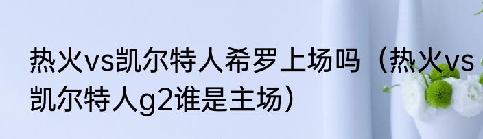 热火vs凯尔特人希罗上场吗（热火vs凯尔特人g2谁是主场）
