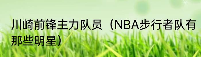 川崎前锋主力队员（NBA步行者队有那些明星）