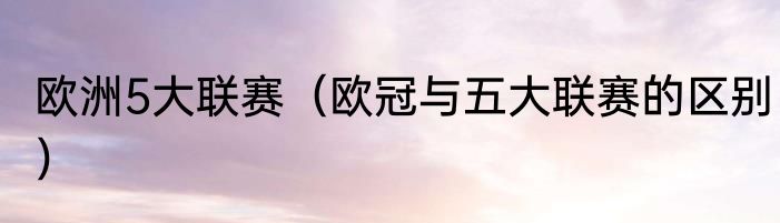 欧洲5大联赛（欧冠与五大联赛的区别）