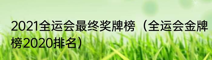 2021全运会最终奖牌榜（全运会金牌榜2020排名）