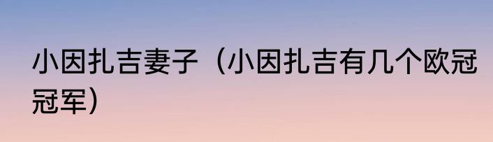 小因扎吉妻子（小因扎吉有几个欧冠冠军）