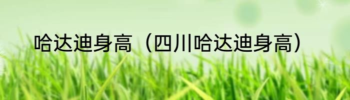 哈达迪身高（四川哈达迪身高）