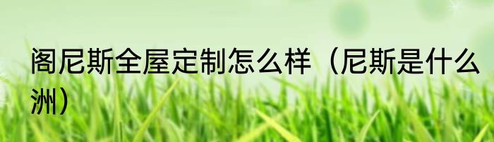 阁尼斯全屋定制怎么样（尼斯是什么洲）