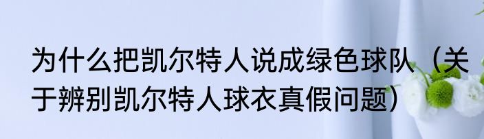 为什么把凯尔特人说成绿色球队（关于辨别凯尔特人球衣真假问题）