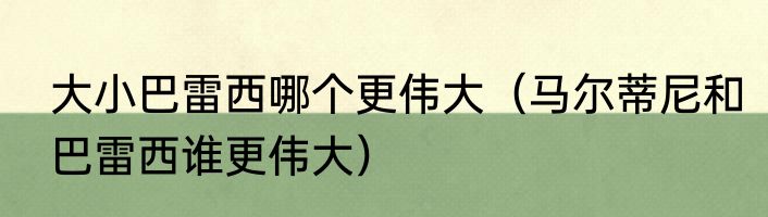 大小巴雷西哪个更伟大（马尔蒂尼和巴雷西谁更伟大）