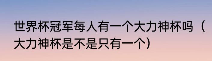 世界杯冠军每人有一个大力神杯吗（大力神杯是不是只有一个）