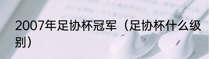 2007年足协杯冠军（足协杯什么级别）