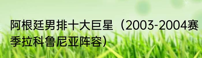 阿根廷男排十大巨星（2003-2004赛季拉科鲁尼亚阵容）