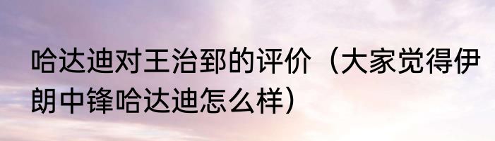 哈达迪对王治郅的评价（大家觉得伊朗中锋哈达迪怎么样）