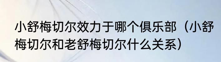 小舒梅切尔效力于哪个俱乐部（小舒梅切尔和老舒梅切尔什么关系）