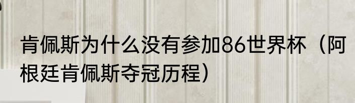 肯佩斯为什么没有参加86世界杯（阿根廷肯佩斯夺冠历程）