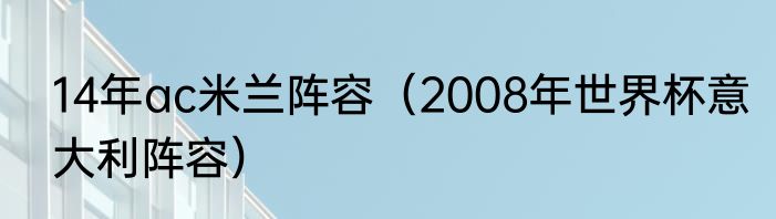 14年ac米兰阵容（2008年世界杯意大利阵容）