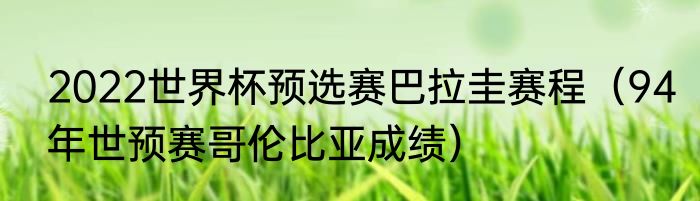 2022世界杯预选赛巴拉圭赛程（94年世预赛哥伦比亚成绩）