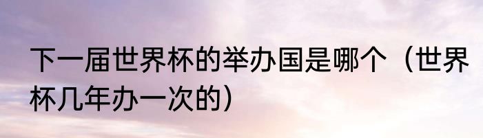下一届世界杯的举办国是哪个（世界杯几年办一次的）