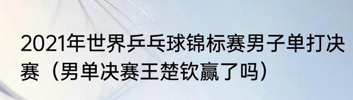 2021年世界乒乓球锦标赛男子单打决赛（男单决赛王楚钦赢了吗）